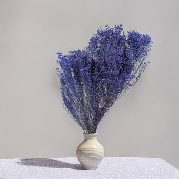 Tørret kostblomst - Kost - Lavendel