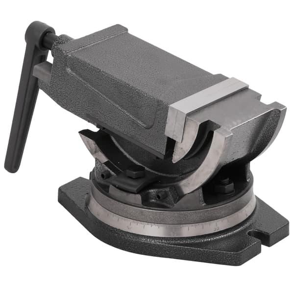 vidaXL vippe- og drejeskruestik, 2 akser, 100 mm