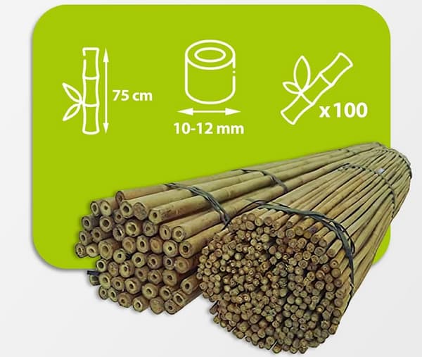 Bambustolpar 75 cm 10/12 mm /100 st/