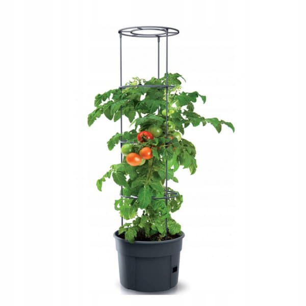Kruka för tomatodling med stöd 28l
