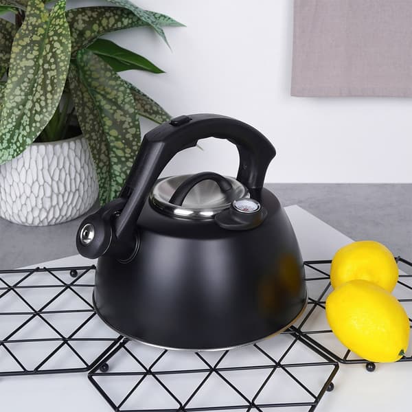 Sort stålkedel med fløjte og termometer 3 liter