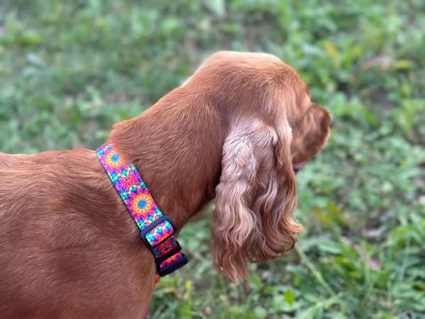 Justerbart handgjort PRYZMAT Hundhalsband M: 30-45cm