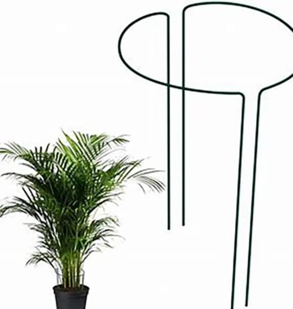 Halvcirkelformade växtstöd i metall 100 cm / 5 stycken /