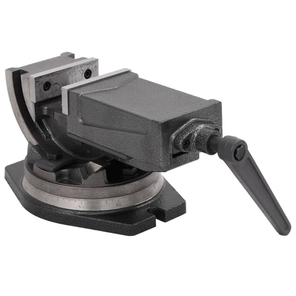 vidaXL vippe- og drejeskruestik, 2 akser, 100 mm