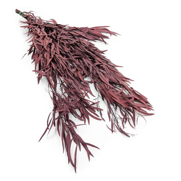 Stabiloitu eukalyptus - Nicoly - Punainen