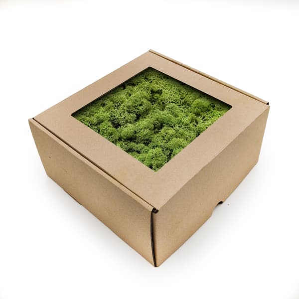 Rensdyrmos - Norge - Mellemgrøn 250g NETTO