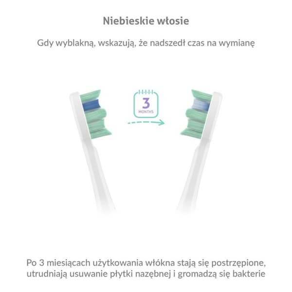 TrueLife SonicBrush Clean30 Duo -hammasharja