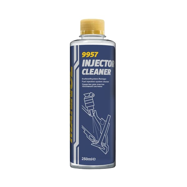 MANNOL INJEKTORRENSER 250 ML (9957) (50)