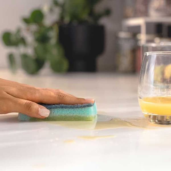256743 Vileda Sieni enzymeillä Pro Clean 2 kpl