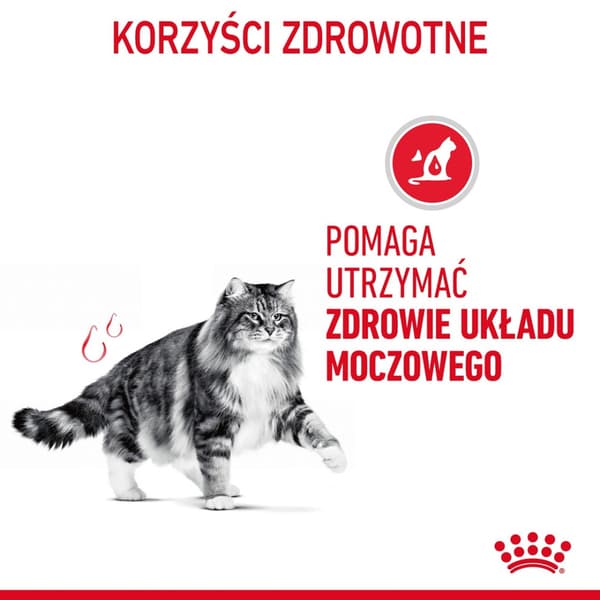 Royal Canin FCN Urinary Care torrfoder för katter 4 kg