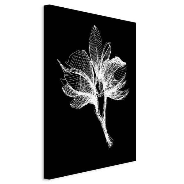 Bild - Nattblomma (1-delad) vertikal
