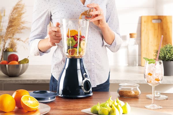 BERLINGER HAUS BH-9283 BLENDER BLANDER