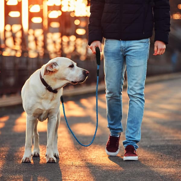 HUNDKOPPEL BLÅTT STARKT TJOCKT REPA 150CM