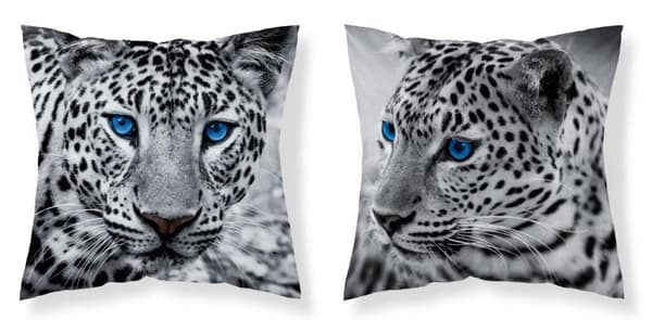 Örngott 40x40 Leopard Microfiber