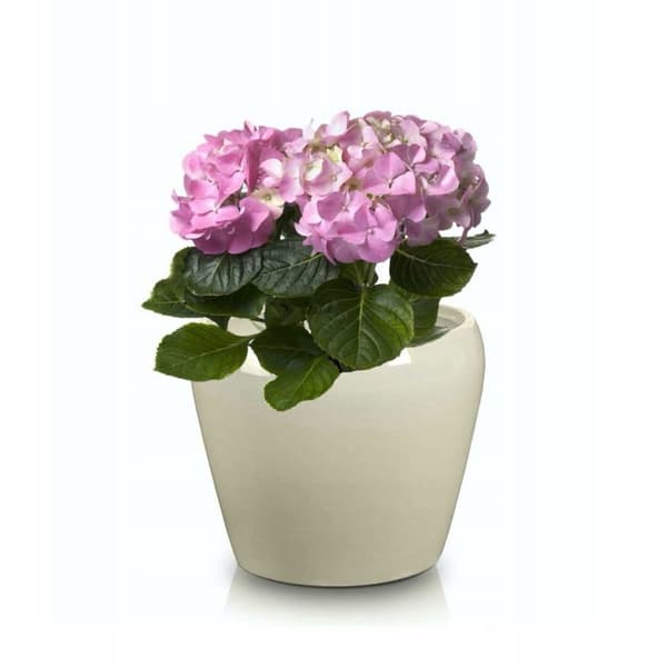 Keramisk blomkruka 12,5 cm krämfärgad
