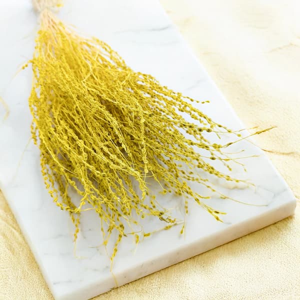 Lepidium (Lepidium sativum) - Keltainen