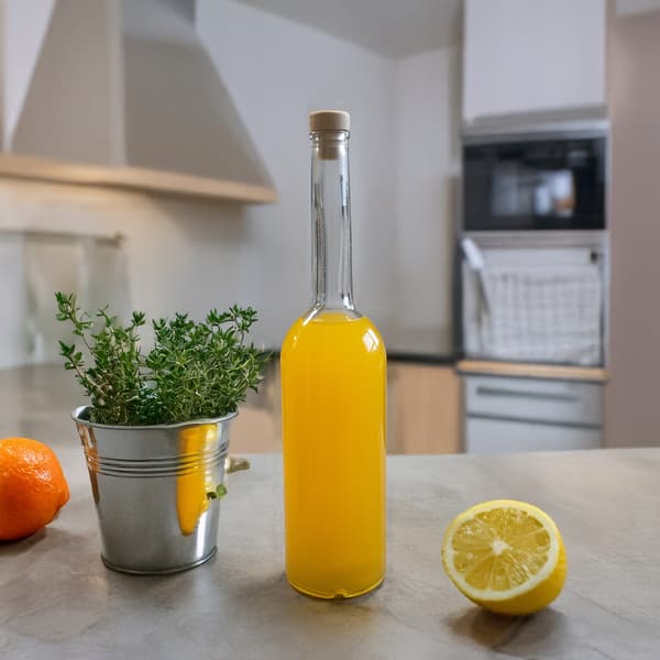 5x FENICE glasflaskor 500ml med kork för likörer, vinflaskor 0,5l