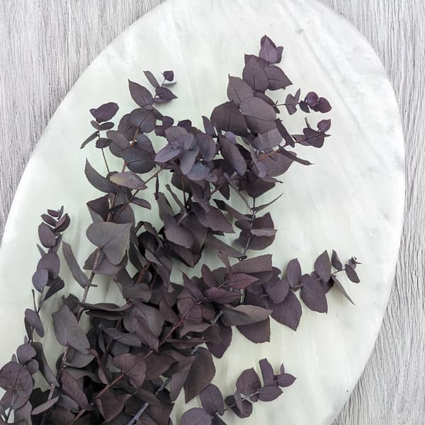 Stabiloitu eukalyptus - Stuartiana - Viileä violetti