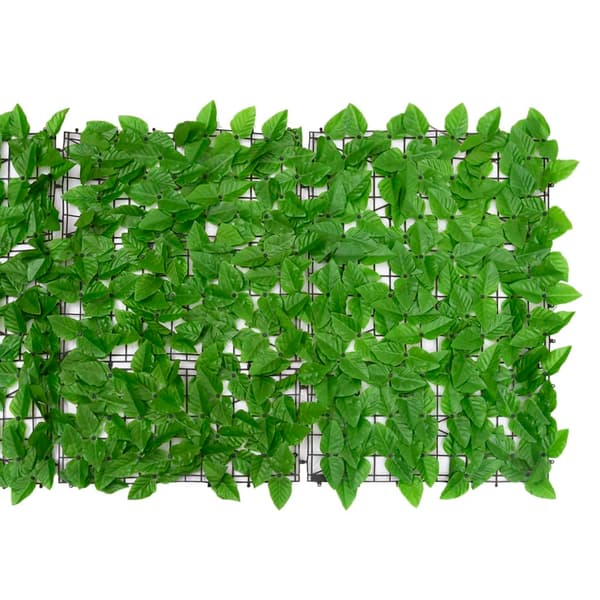 vidaXL Balkongtak, Gröna blad, 200x75 cm