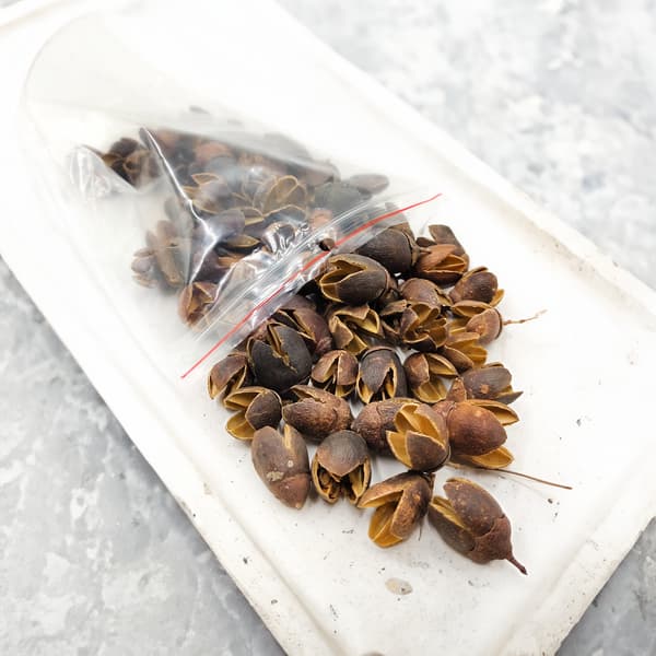 Bakuli Natural - eksotisk tørret frugt - 100g