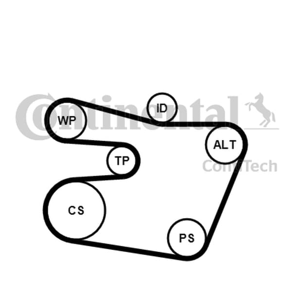 CONTITECH POLYRIBBED REMSÆT BMW E46 2.0-3.0