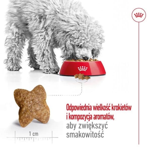 Royal Canin SHN Mini Adult 8 kg torrfoder för hundar