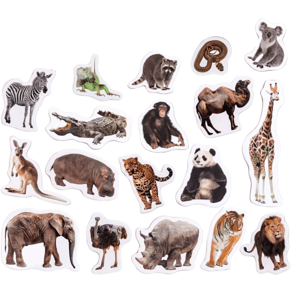 Zoo magnetset vilde dyr realistisk design solid udførelse MV6032-02