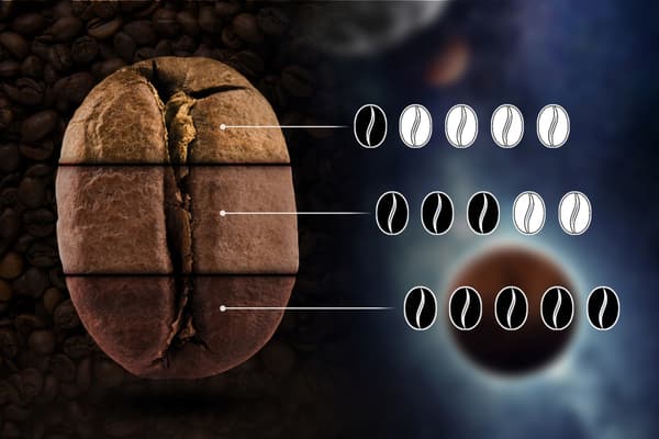 TasteTheUniverse Nyrostade Kaffebönor 250G