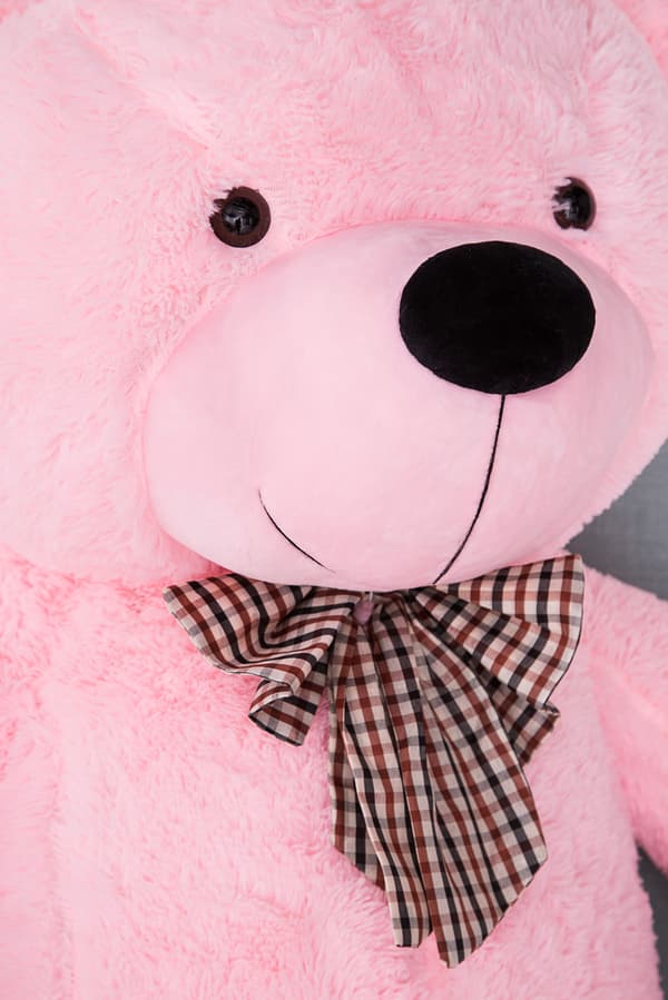 Teddy Classico 50cm - rosa