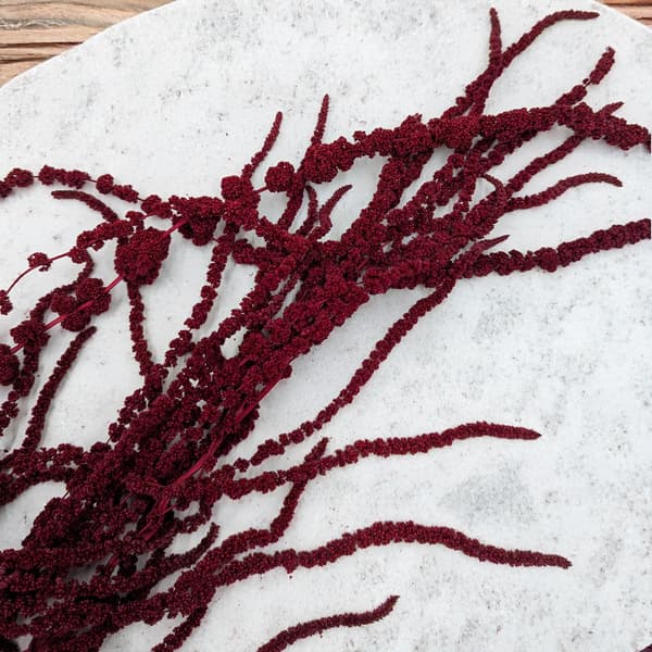 Stabiliseret amarant - Amaranth - Bourgogne