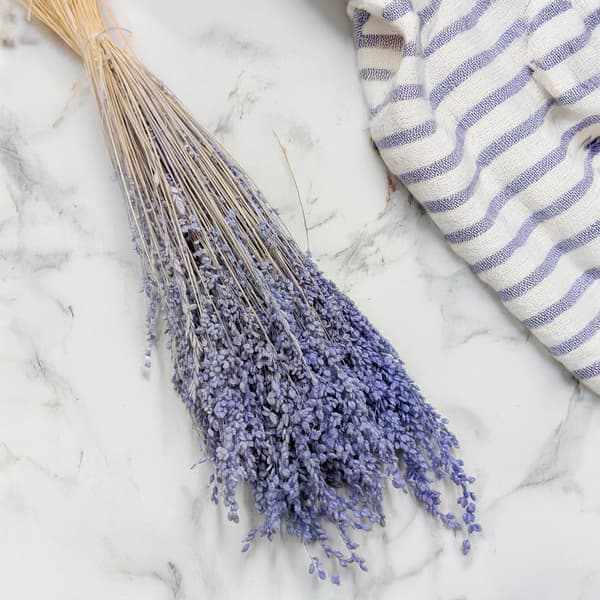 Briza Minima - Torkad Mini - Lavendel