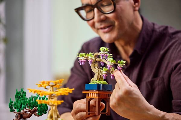 LEGO 10373 Botanisk samling