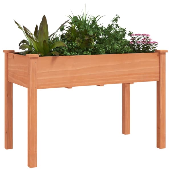 vidaXL Växtställ med foder brun 118x59x76 cm granträ