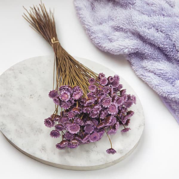 Glixia Dried BIG - (Comanthera, Glyxia) - Lavendel