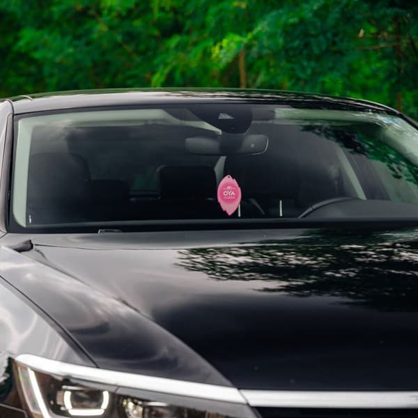 011817 K2 V913 OYA Vibes Cola dothängare rosa