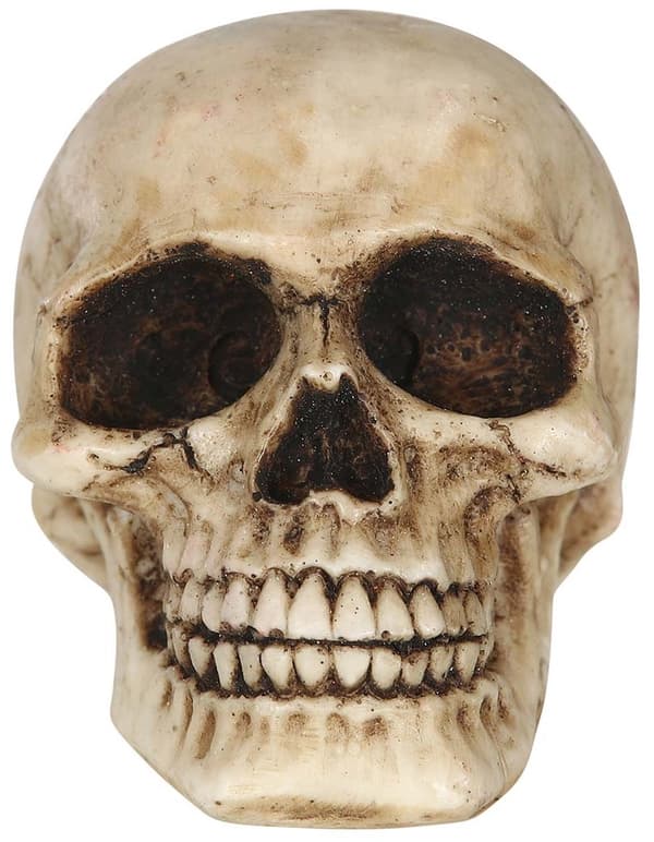 Halloween-koristeilu kuollonjäikeä pääsisus