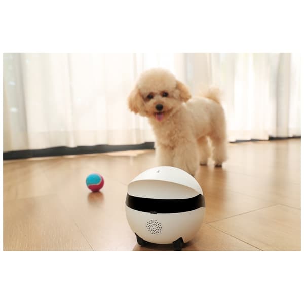 ENABOT ROLAMINI intelligent ledsagerrobot