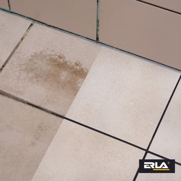 ERLA R3011 SANIZ MAX 750ML