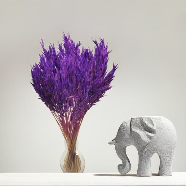 Kuivatut kaurat - violetti