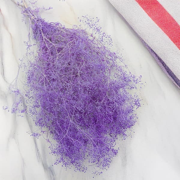 Stabiliserad gips MINI - (gypsophila) - Lila