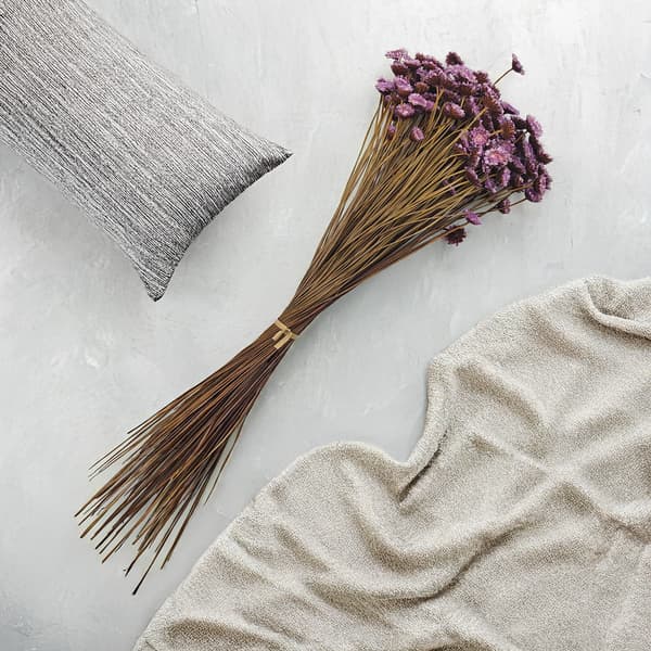 Glixia Dried BIG - (Comanthera, Glyxia) - Laventeli