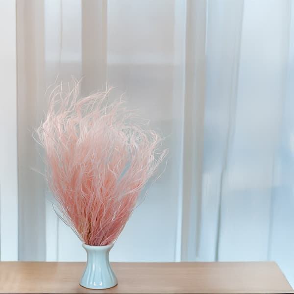 Kuivattu Stipa - Stipa pennata - Vaaleanpunainen