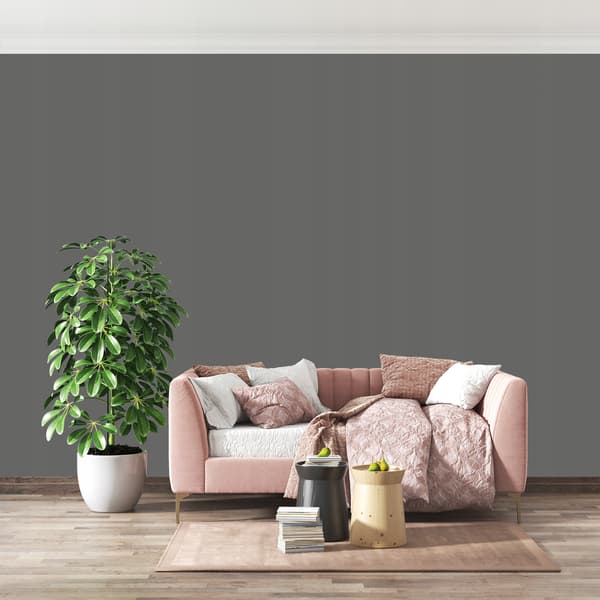 Latexmaling til vægge graffitfarve H1213 2L dyb mat