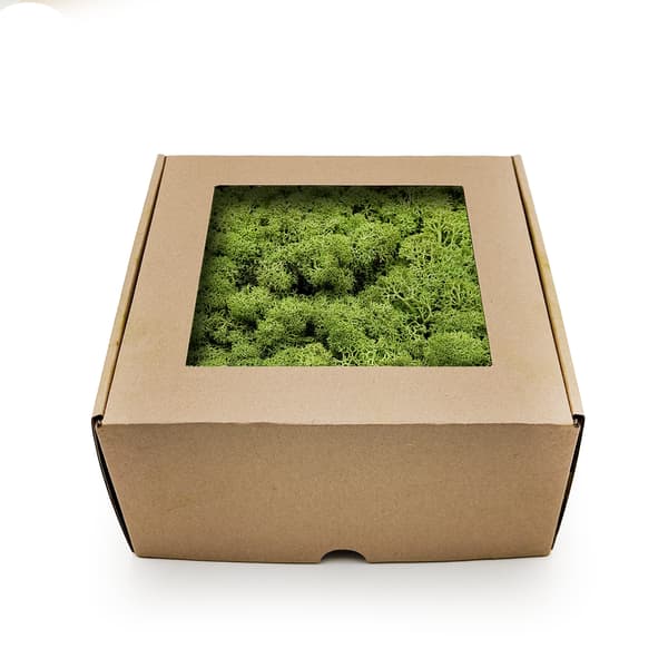 Renmossa - Norge - Mellangrön 50g NETTO