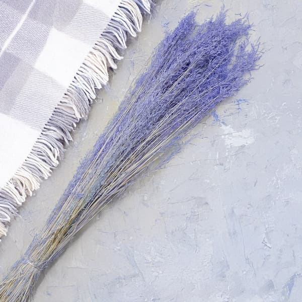 Torkad darrande växt - (Briza Segromigno) - Lavendel
