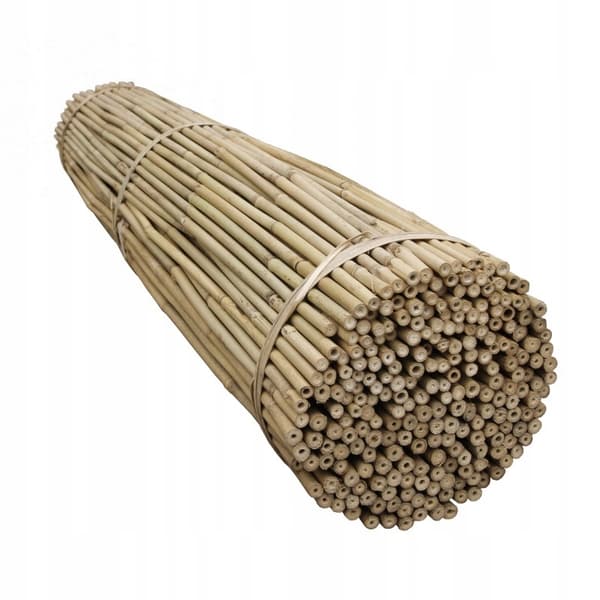 Plåtturnéer bambupåle 90cm 10-12mm