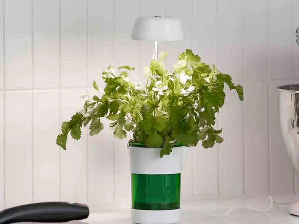 Lampa för växtodling LED (80) GAB_B
