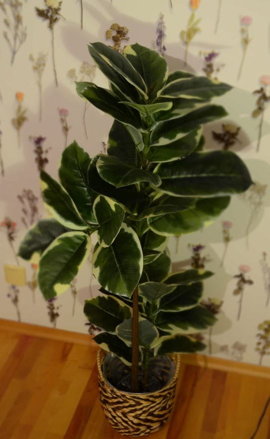KUNSTIG FIGEN, FICUS ~ 120 cm nr. #5