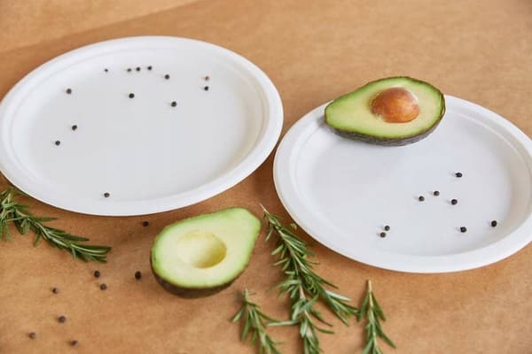 Tallrik ECO av sockerrör 23cm 50st
