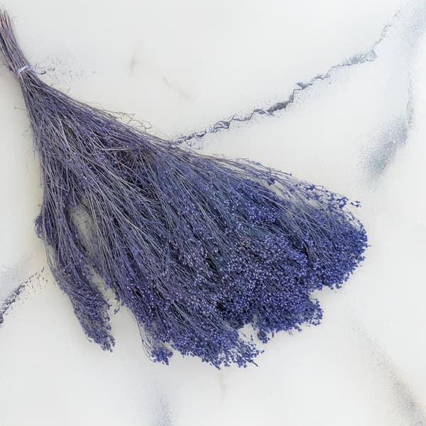 Tørret kostblomst - Kost - Lavendel